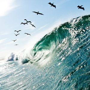 Meet your Posher, Amberlee